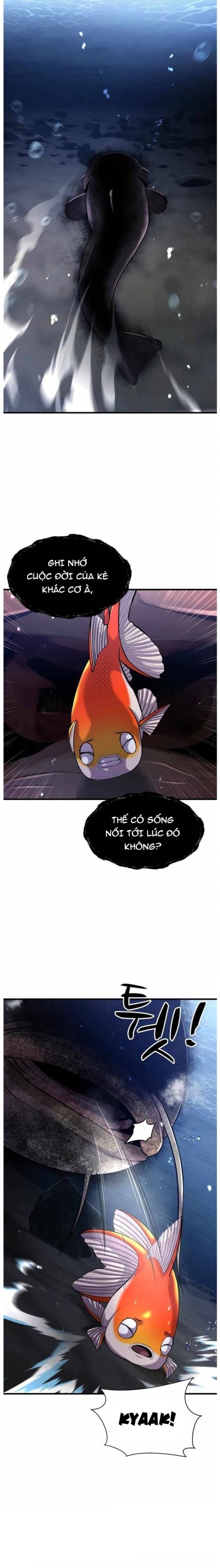 Hoá Thân Thành Cá Chapter 29 - 5