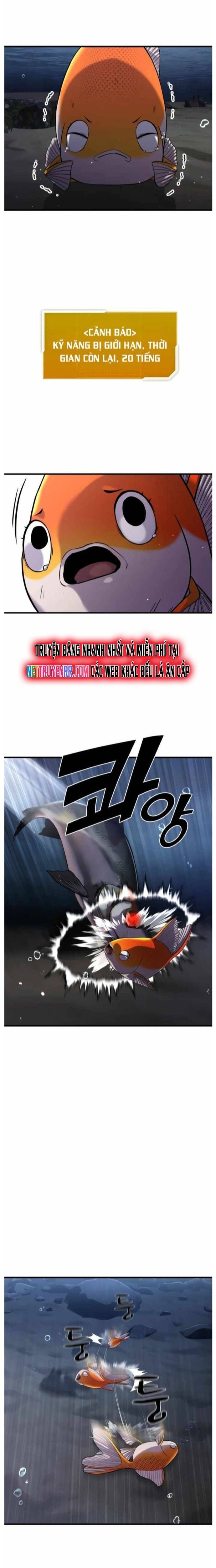 Hoá Thân Thành Cá Chapter 29 - 8