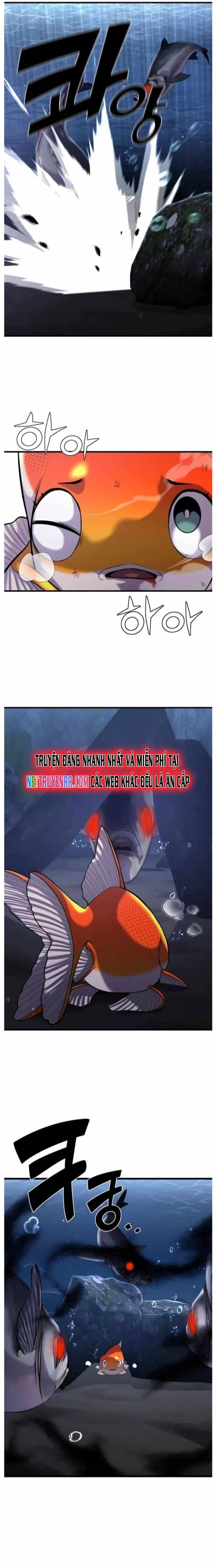 Hoá Thân Thành Cá Chapter 29 - 10