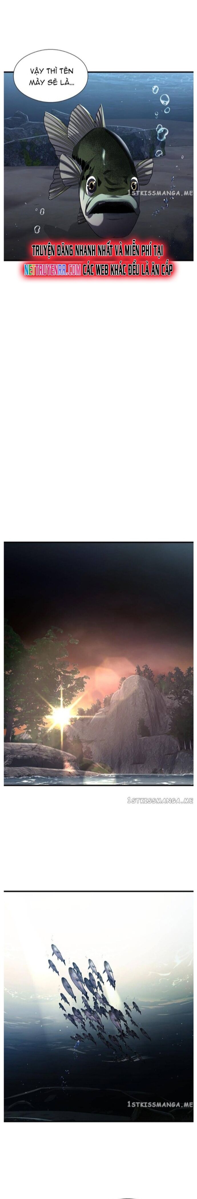 Hoá Thân Thành Cá Chapter 30 - 13