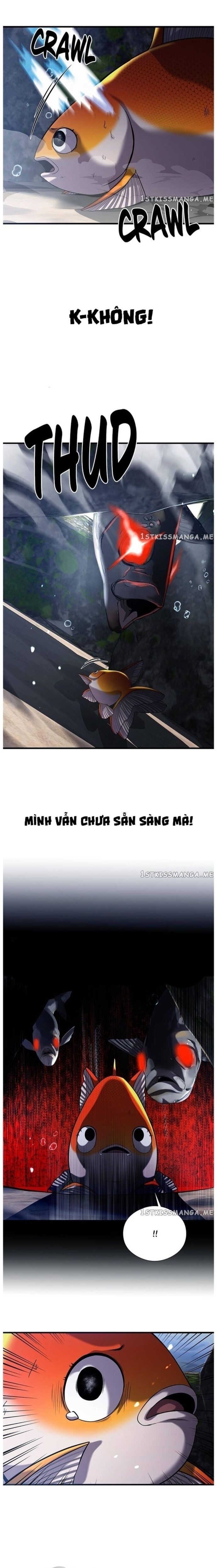 Hoá Thân Thành Cá Chapter 30 - 21