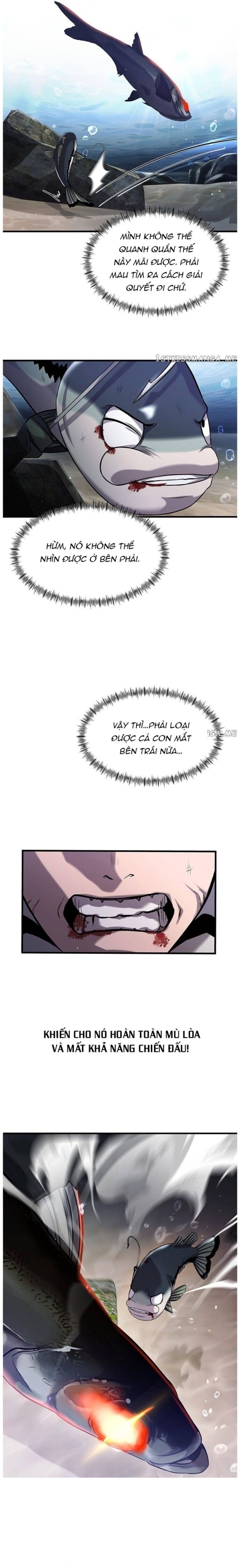 Hoá Thân Thành Cá Chapter 32 - 16