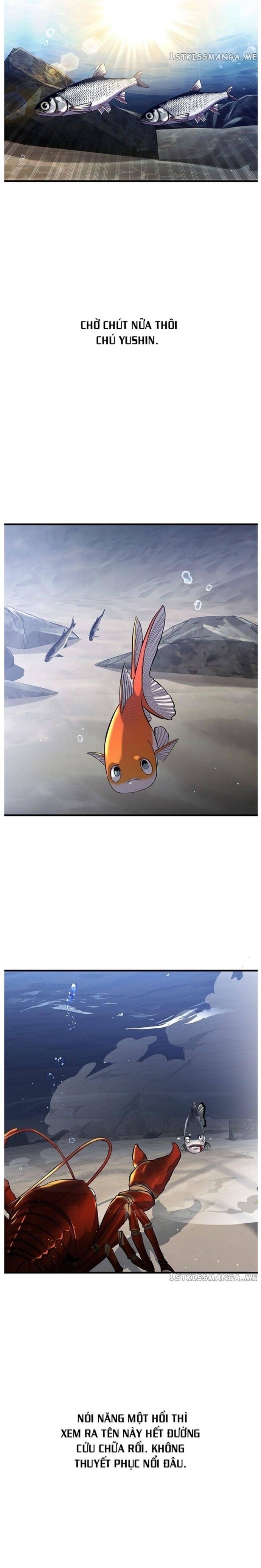Hoá Thân Thành Cá Chapter 33 - 11