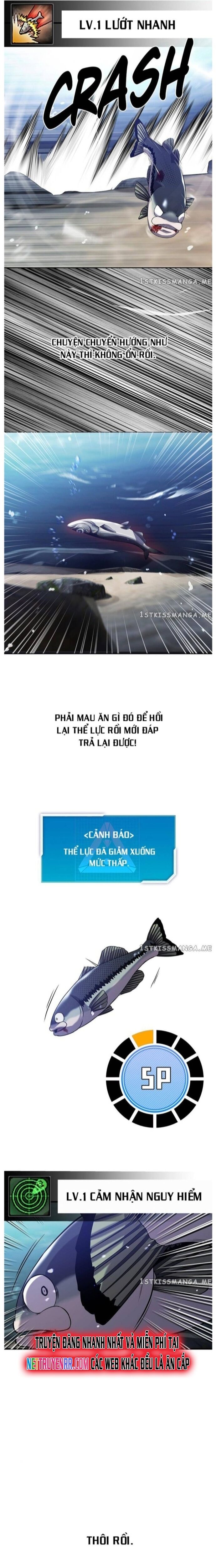 Hoá Thân Thành Cá Chapter 33 - 14