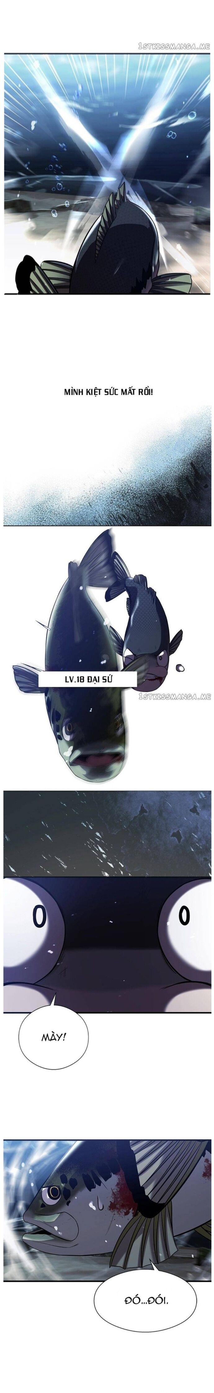 Hoá Thân Thành Cá Chapter 33 - 15