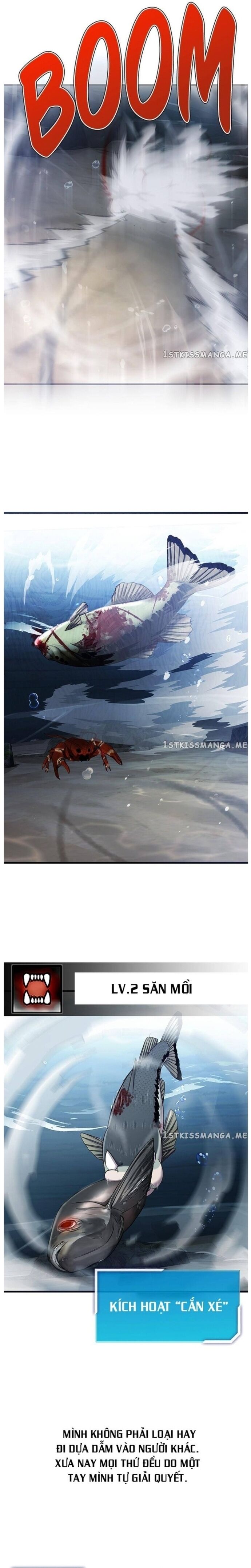 Hoá Thân Thành Cá Chapter 33 - 16