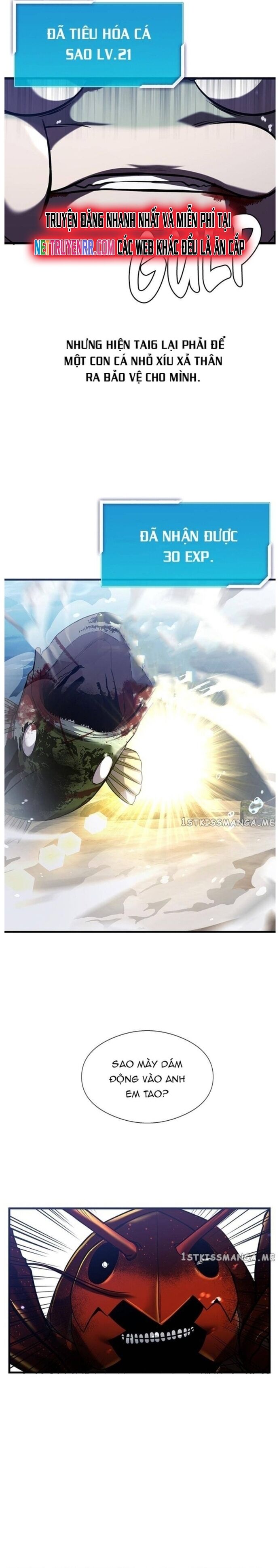 Hoá Thân Thành Cá Chapter 33 - 17