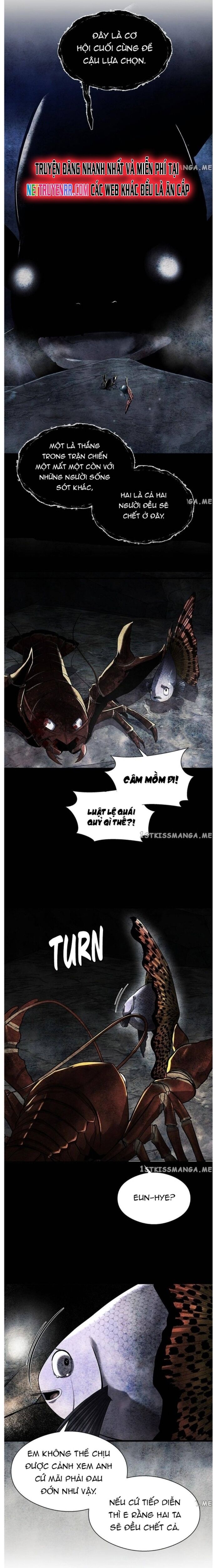 Hoá Thân Thành Cá Chapter 33 - 22