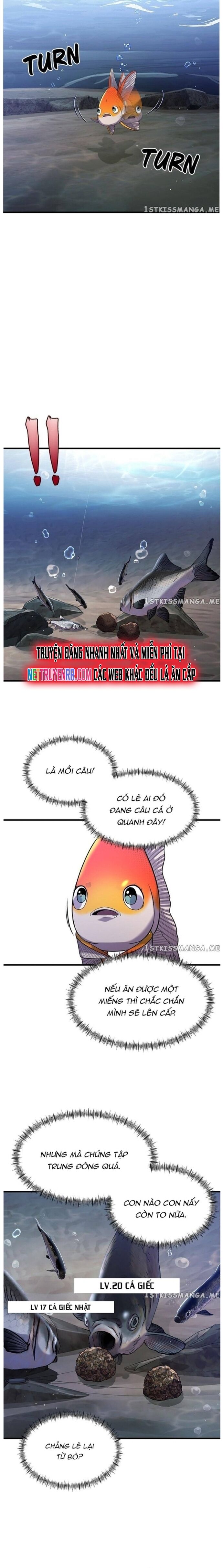 Hoá Thân Thành Cá Chapter 33 - 6