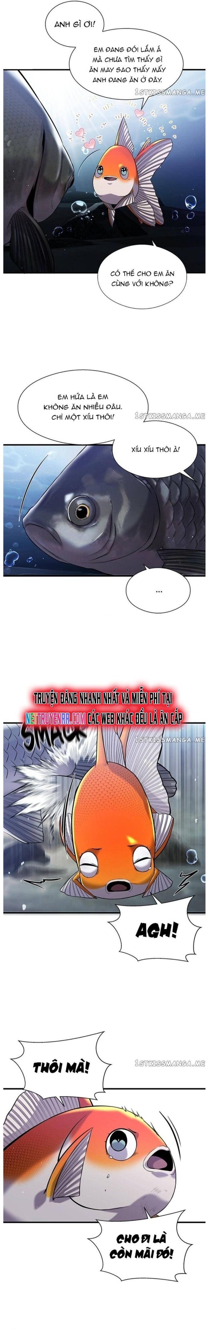 Hoá Thân Thành Cá Chapter 33 - 8