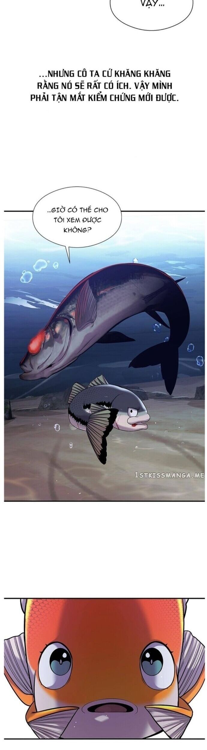 Hoá Thân Thành Cá Chapter 35 - 24