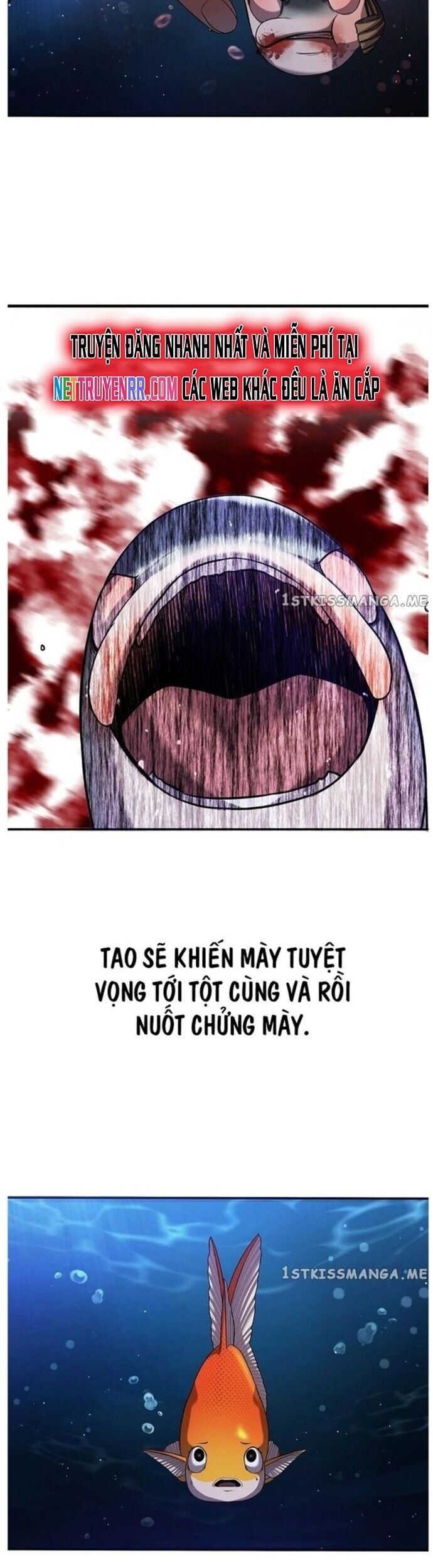 Hoá Thân Thành Cá Chapter 37 - 24