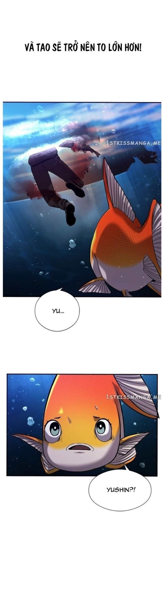 Hoá Thân Thành Cá Chapter 37 - 25
