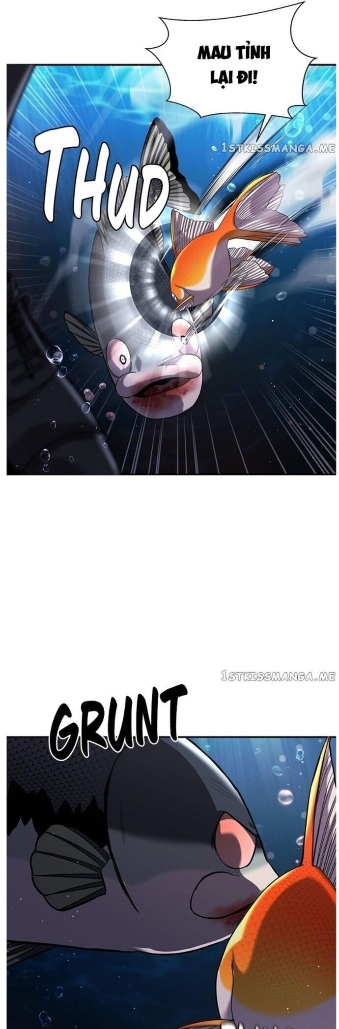 Hoá Thân Thành Cá Chapter 37 - 29