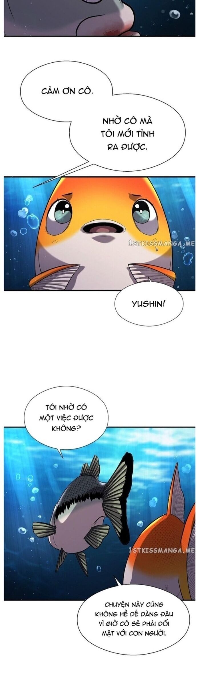 Hoá Thân Thành Cá Chapter 37 - 34