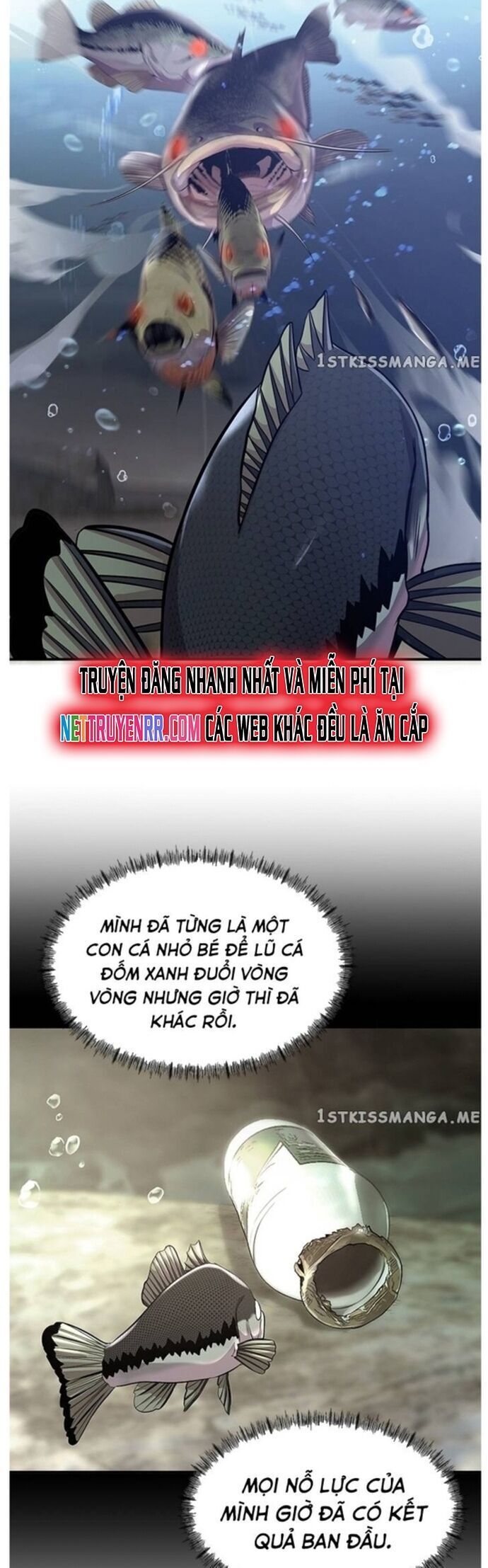 Hoá Thân Thành Cá Chapter 40 - 14