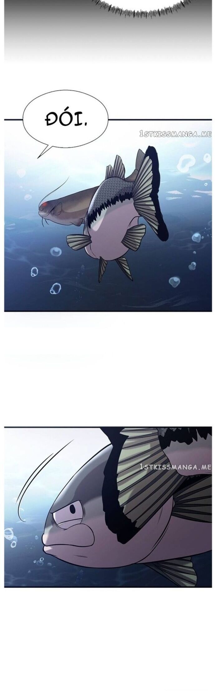 Hoá Thân Thành Cá Chapter 40 - 15