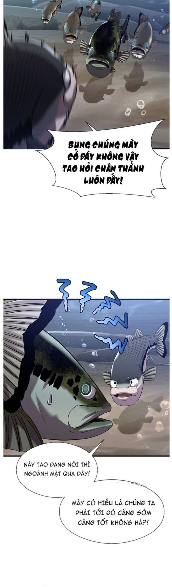 Hoá Thân Thành Cá Chapter 40 - 19