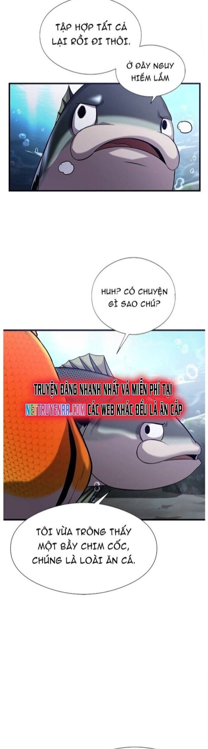 Hoá Thân Thành Cá Chapter 40 - 33