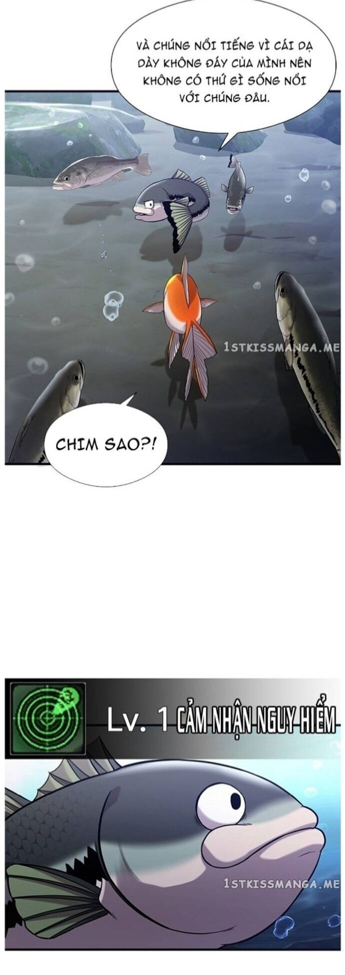 Hoá Thân Thành Cá Chapter 40 - 34