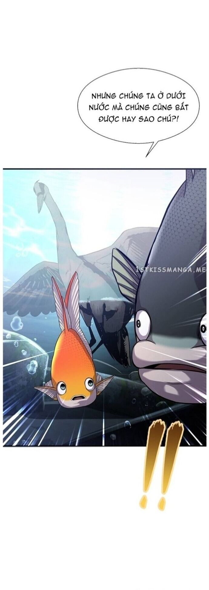 Hoá Thân Thành Cá Chapter 40 - 35