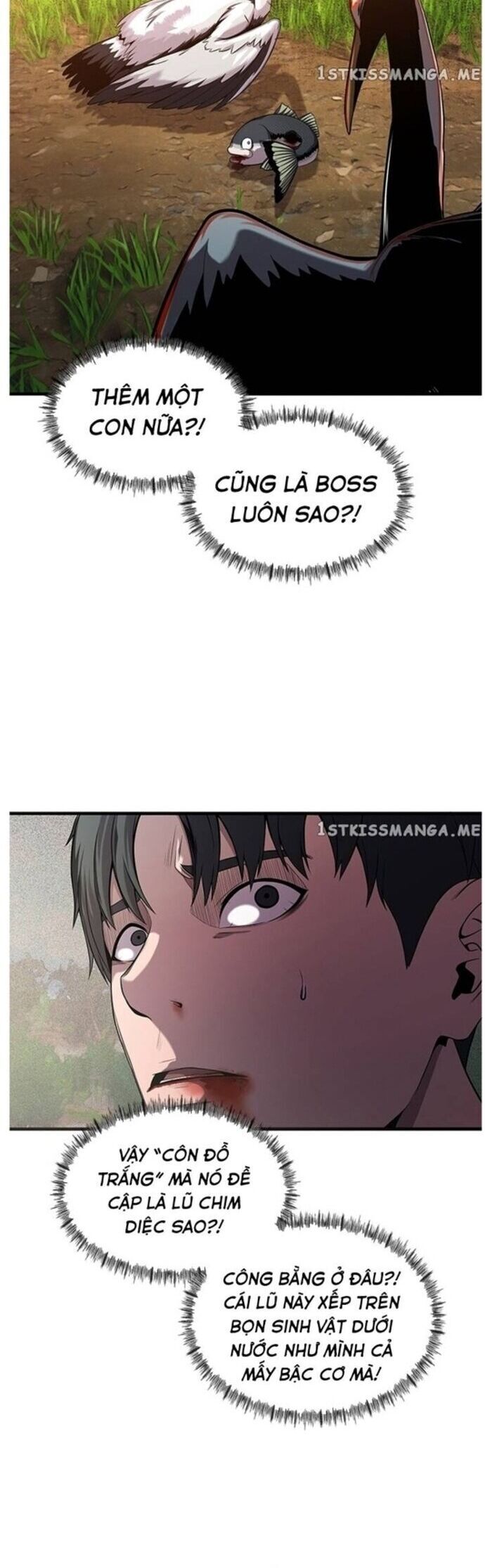 Hoá Thân Thành Cá Chapter 41 - 3