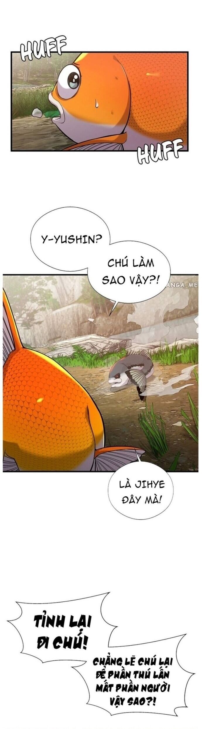 Hoá Thân Thành Cá Chapter 43 - 18
