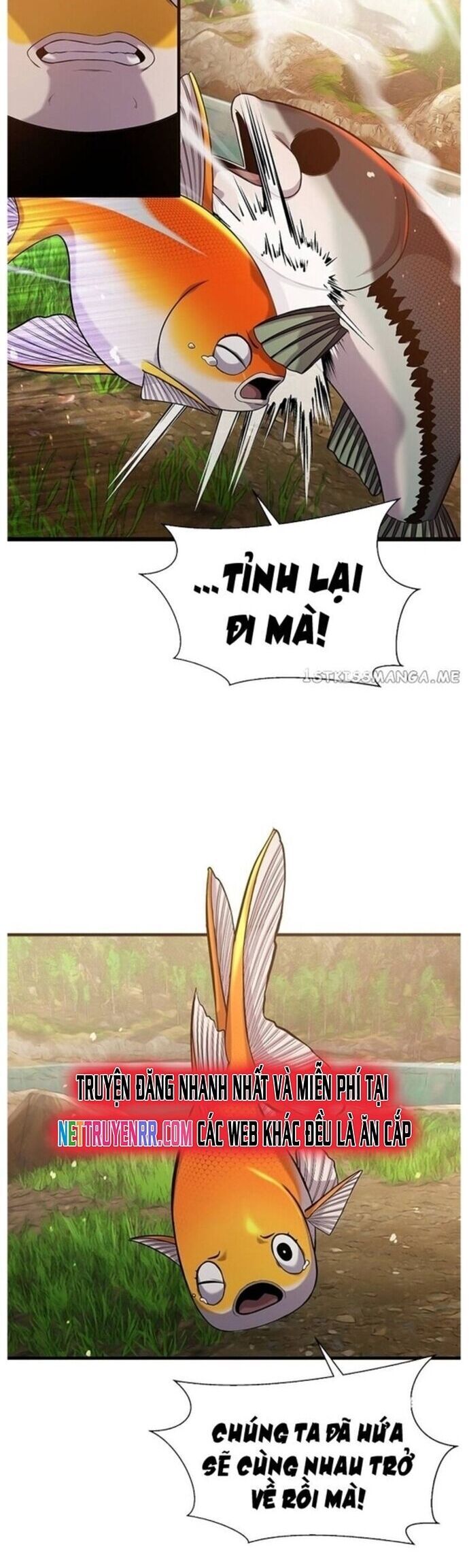 Hoá Thân Thành Cá Chapter 43 - 22