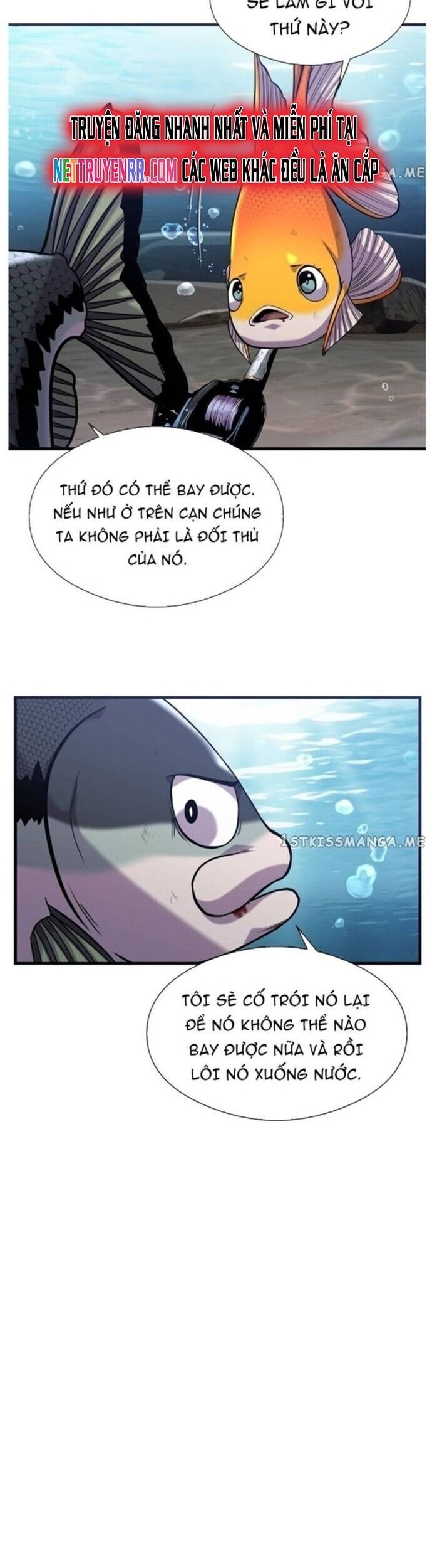 Hoá Thân Thành Cá Chapter 45 - 22