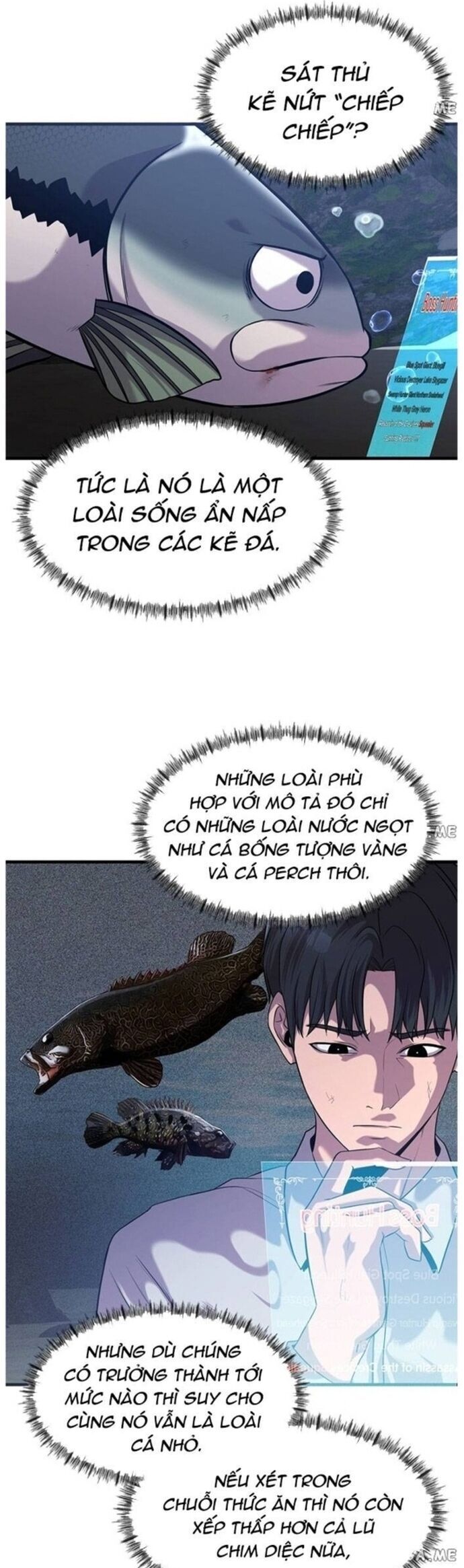 Hoá Thân Thành Cá Chapter 47 - 32