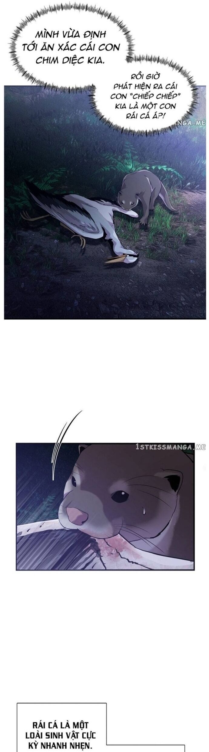 Hoá Thân Thành Cá Chapter 48 - 19