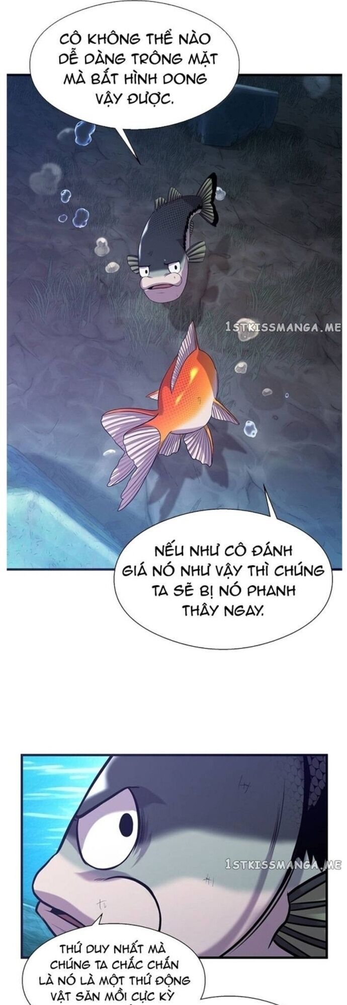 Hoá Thân Thành Cá Chapter 48 - 29