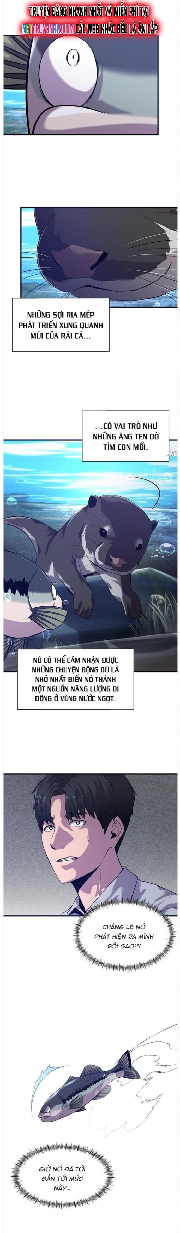 Hoá Thân Thành Cá Chapter 50 - 2