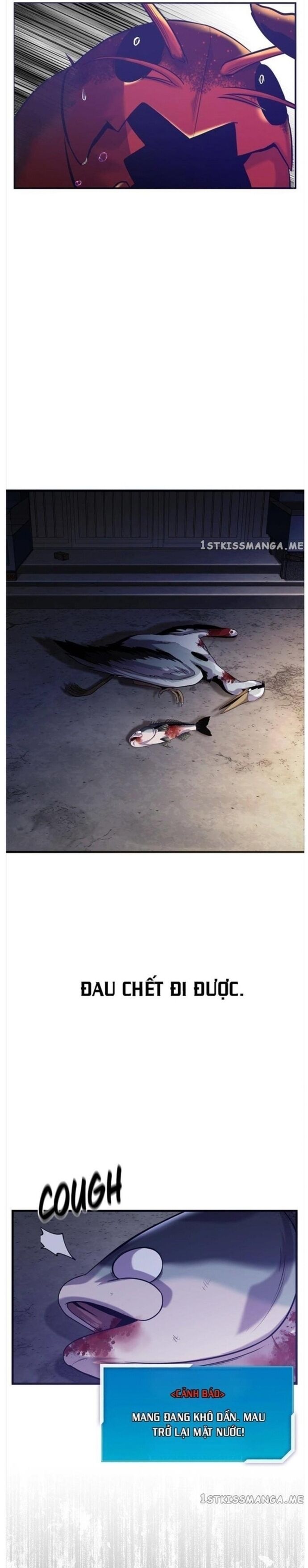 Hoá Thân Thành Cá Chapter 50 - 12