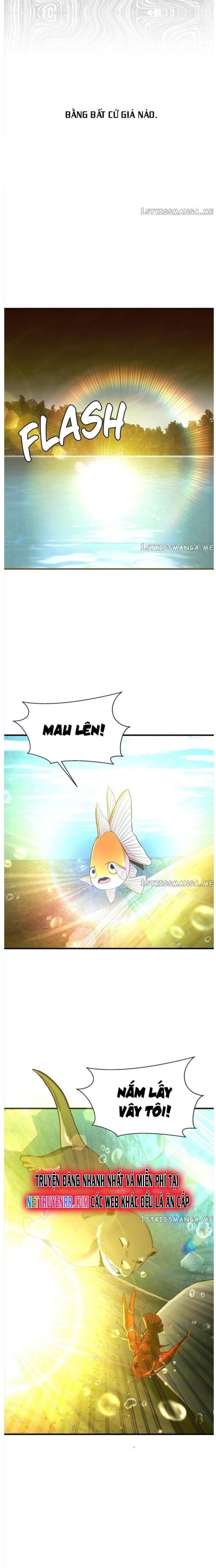 Hoá Thân Thành Cá Chapter 50 - 14