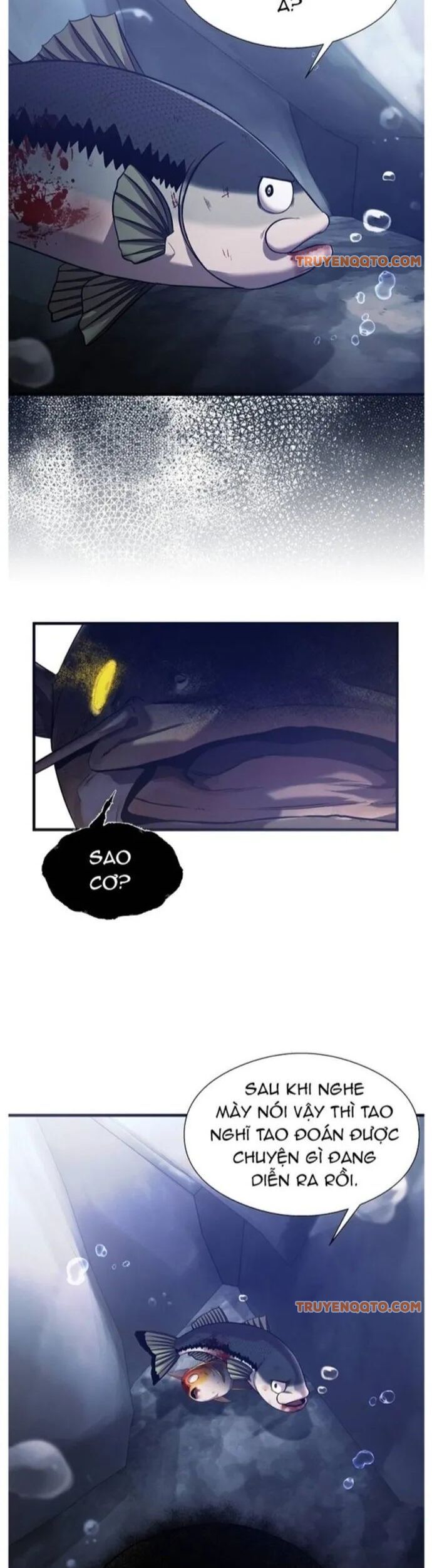 Hoá Thân Thành Cá Chapter 55 - 22