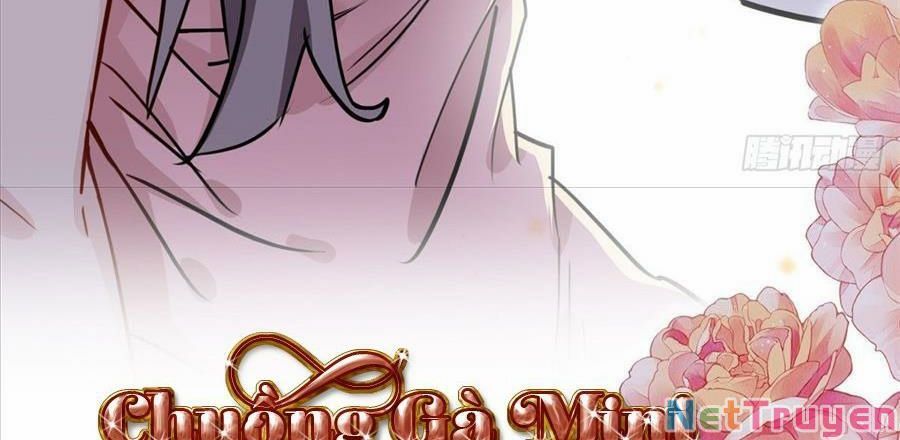 Cố Tổng, Vợ Của Ngài Quá Mạnh Rồi! Chapter 102 - 149