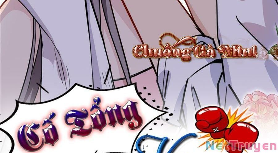 Cố Tổng, Vợ Của Ngài Quá Mạnh Rồi! Chapter 102 - 4
