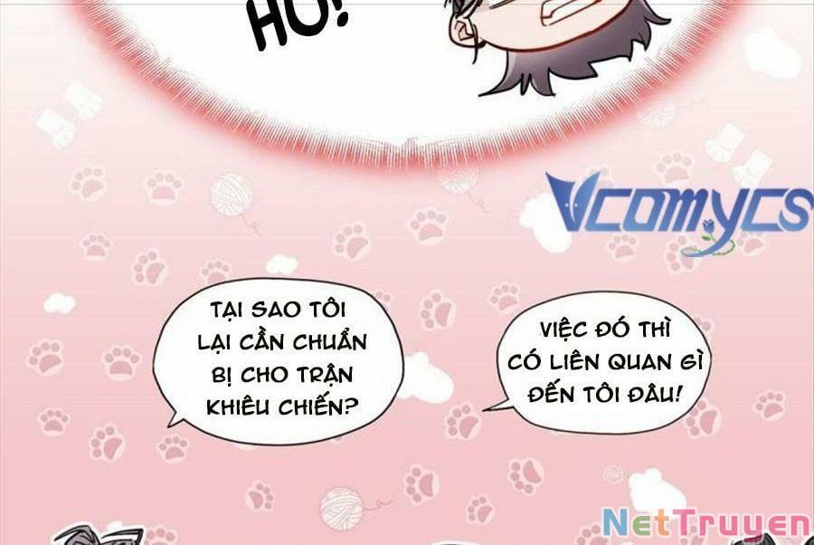 Cố Tổng, Vợ Của Ngài Quá Mạnh Rồi! Chapter 98 - 19