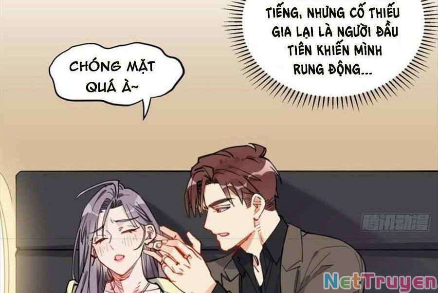 Cố Tổng, Vợ Của Ngài Quá Mạnh Rồi! Chapter 98 - 52
