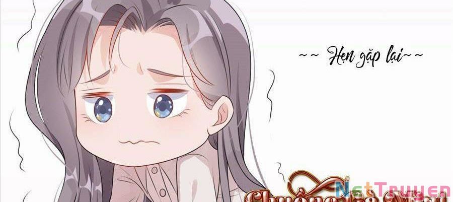 Cố Tổng, Vợ Của Ngài Quá Mạnh Rồi! Chapter 99 - 95
