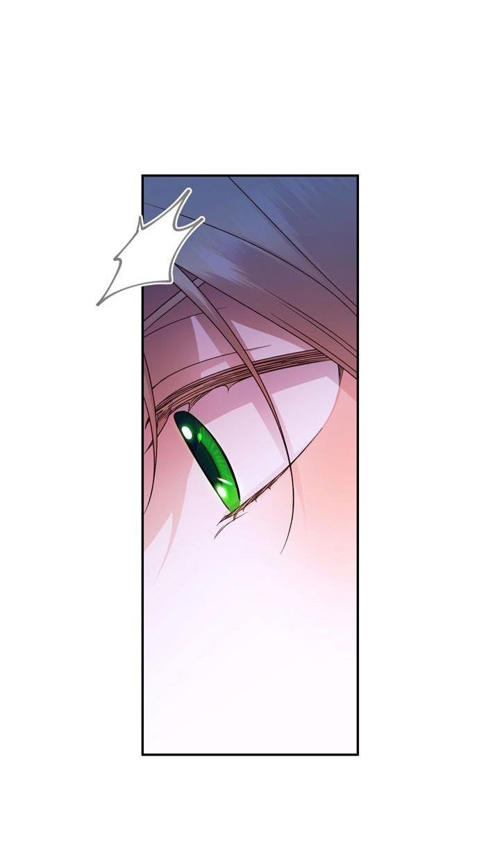 Phương Pháp Che Giấu Đứa Con Của Hoàng Đế Chapter 29.5 - 17