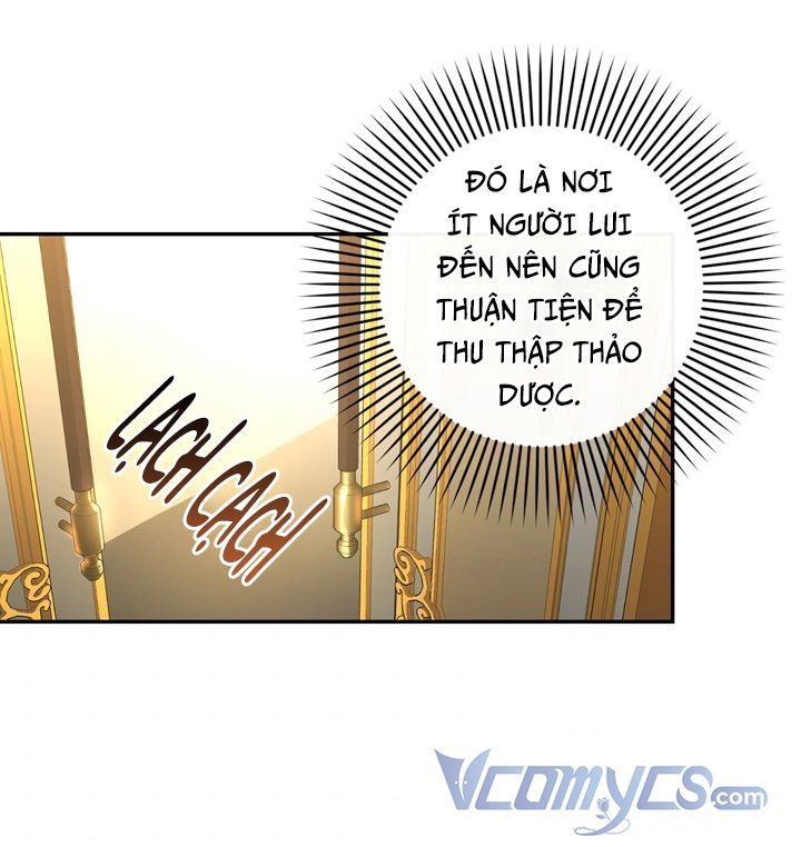 Phương Pháp Che Giấu Đứa Con Của Hoàng Đế Chapter 37.5 - 12