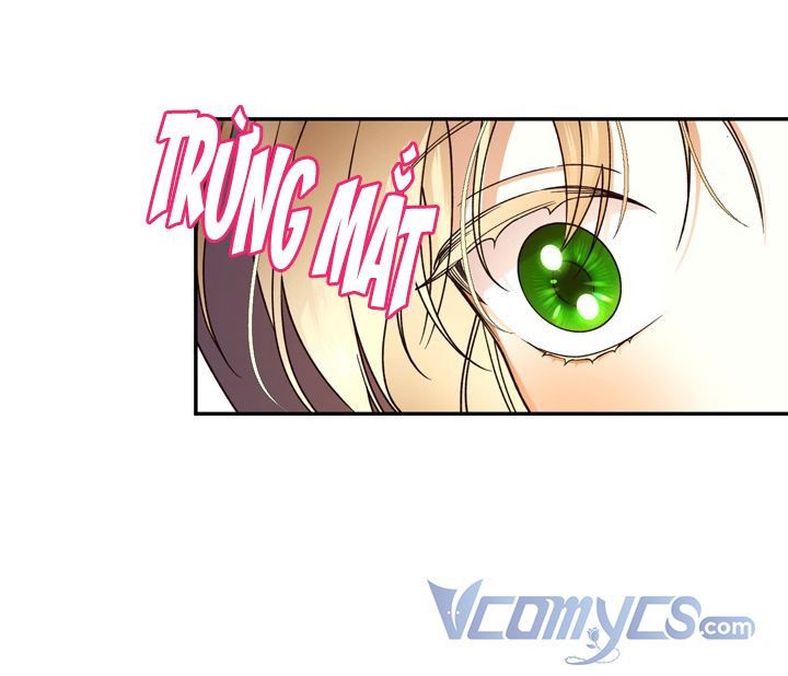 Phương Pháp Che Giấu Đứa Con Của Hoàng Đế Chapter 38.5 - 17