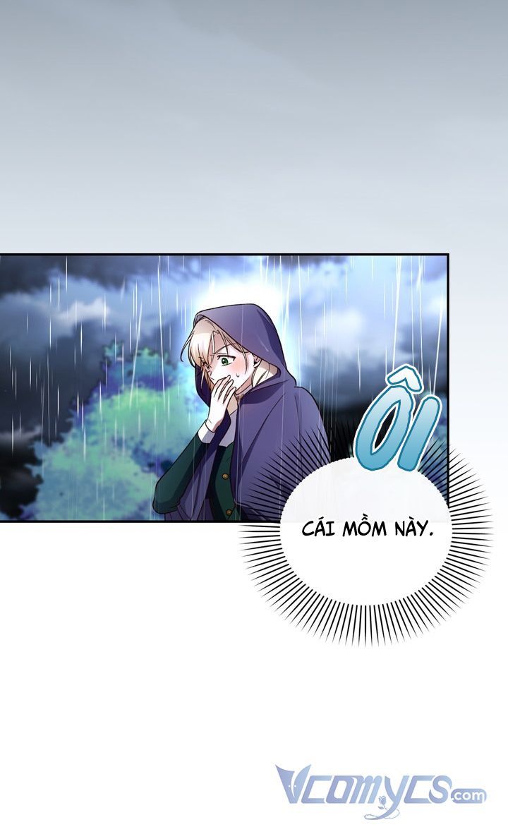 Phương Pháp Che Giấu Đứa Con Của Hoàng Đế Chapter 38.5 - 27