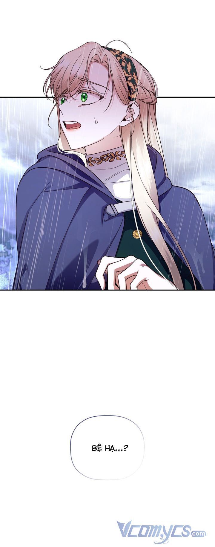 Phương Pháp Che Giấu Đứa Con Của Hoàng Đế Chapter 39.5 - 29