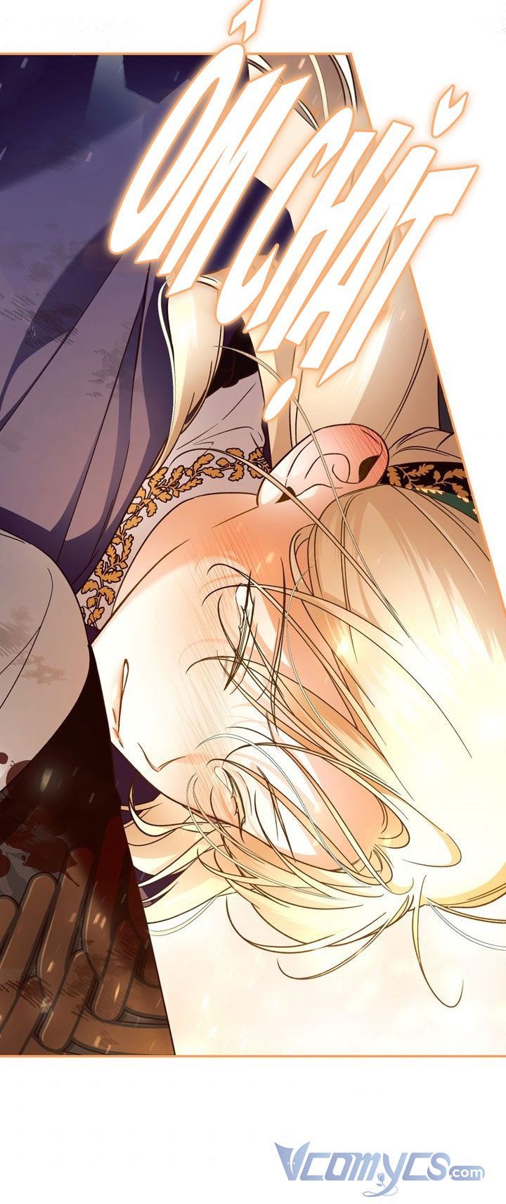 Phương Pháp Che Giấu Đứa Con Của Hoàng Đế Chapter 40.5 - 2