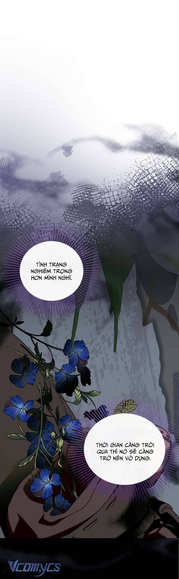 Phương Pháp Che Giấu Đứa Con Của Hoàng Đế Chapter 98 - 12