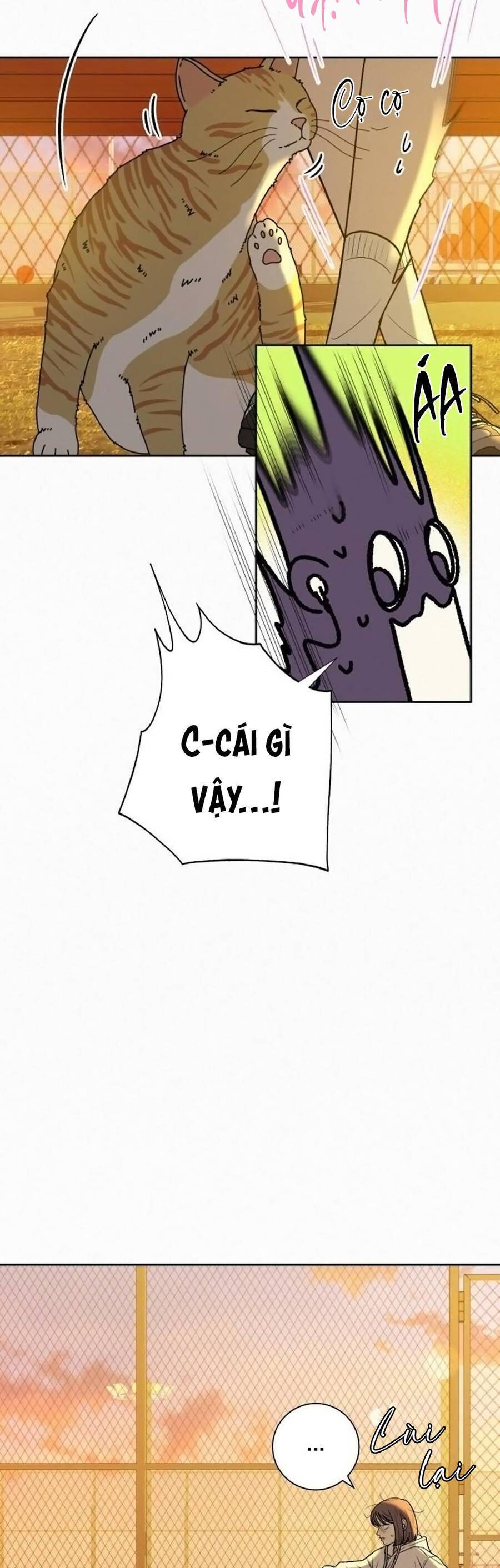 Chiến Lược: Tình Yêu Trong Sáng Chapter 99 - 18