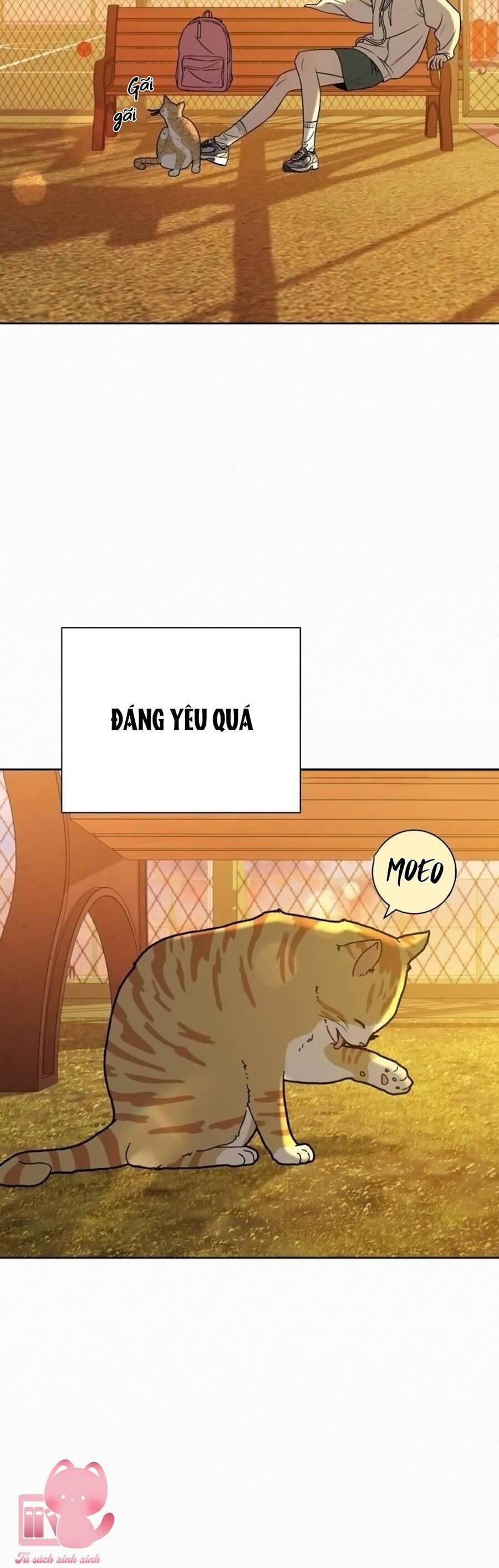 Chiến Lược: Tình Yêu Trong Sáng Chapter 99 - 19
